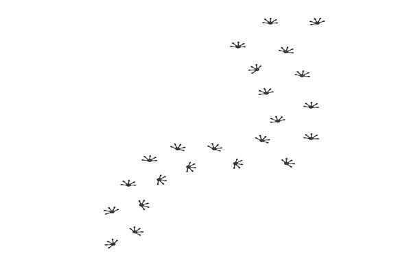 Evaluating the Gecko Foot Print Icon Vector Element for Digital Design